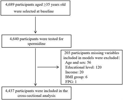 Non-linear associations of serum spermidine with type 2 diabetes mellitus and fasting plasma glucose: a cross-sectional study